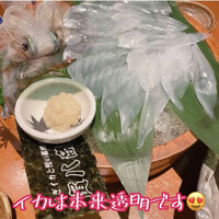寅八商店 心斎橋店 - 