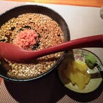 Ginsa Kanaryouri - 鮭茶漬け　私