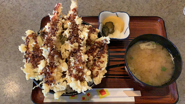 天ぷら桂 巣子 天ぷら 食べログ 天ぷら桂 巣子 天ぷら 食べログ