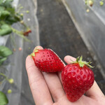 姫路ハートフル観光農園 - 