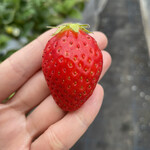 姫路ハートフル観光農園 - 