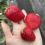 姫路ハートフル観光農園 - 