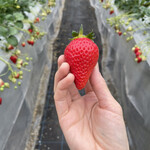 姫路ハートフル観光農園 - 