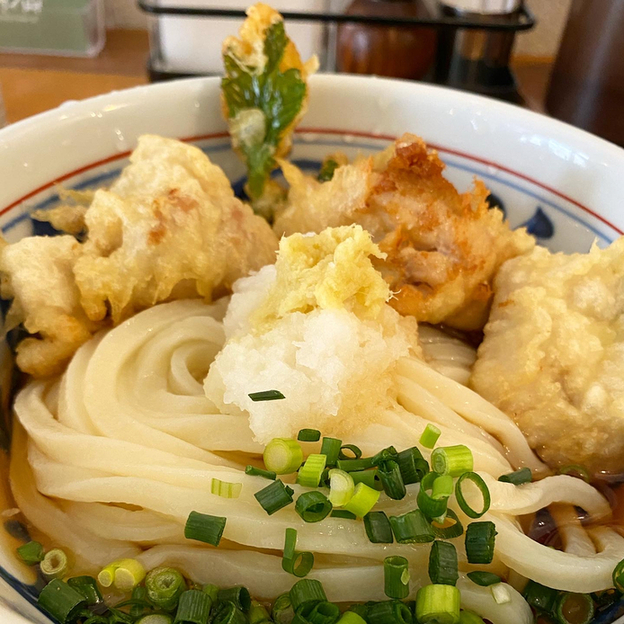 讃岐手打うどん 青ノ山 三越前 うどん 食べログ 讃岐手打うどん 青ノ山 三越前 うどん 食べログ