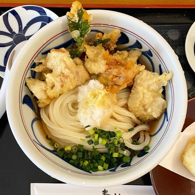 讃岐手打うどん 青ノ山 三越前 うどん 食べログ 讃岐手打うどん 青ノ山 三越前 うどん 食べログ