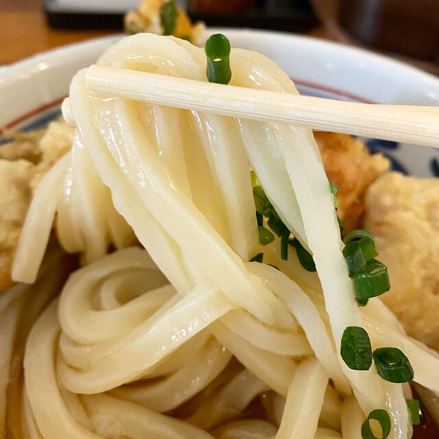 讃岐手打うどん 青ノ山 三越前 うどん 食べログ 讃岐手打うどん 青ノ山 三越前 うどん 食べログ