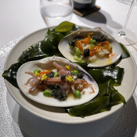 レフェルヴェソンス - 