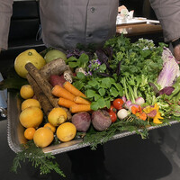 レフェルヴェソンス - 