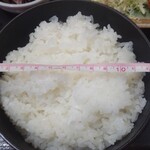Namiki Shiyokudou - 焼肉定食800円　おひつの直径13cm