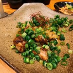 Hiroshima Yakitori Torinokura - 赤鶏葱まみれ
