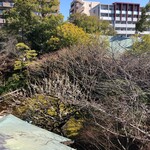 料亭 淀川邸 - 窓外