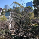 料亭 淀川邸 - 白梅