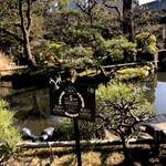 料亭 淀川邸 - 庭園