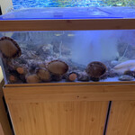 廻転寿司弁慶 - 