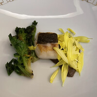 SALONE TOKYO - 