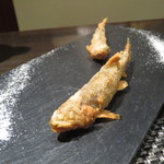レストラン バカール - 稚鮎のフリット