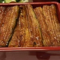 割烹 蒲焼 大沼 - うな重特上（ご飯大盛り）