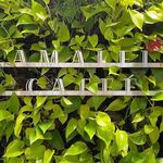 AMALFI  CAFFE - 