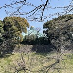 かつれつ四谷たけだ - 澄んだ空に〜光る玉ねぎ〜