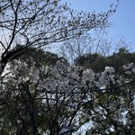 かつれつ四谷たけだ - 上野恩賜公園