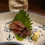 設楽 - 2103ほたるいか生