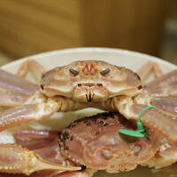 魚菜料理 縄屋 - 