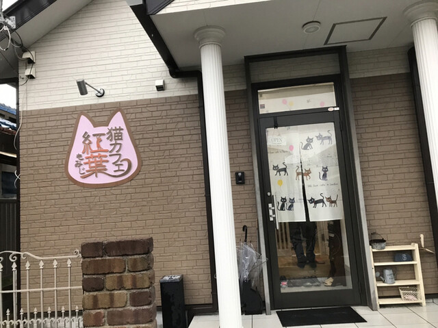 猫カフェ紅葉 ネコカフェモミジ 岡田浦 その他 食べログ 猫カフェ紅葉 ネコカフェモミジ 岡田浦 その他 食べログ