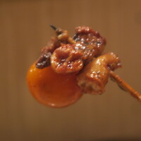 鳥つた - 