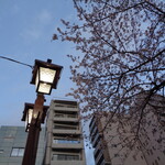 一〇そば - 先週より咲いたね