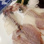 海中魚処 萬坊 - イカは20㎝級