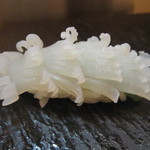 旬鮮彩鮨　豊のはなれ - ヤリイカ