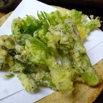 天然山菜天ぷら（こごみ、たらの芽、こしあぶらetc）