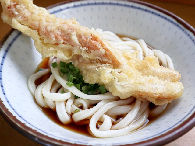 村上 三条 高松 うどん 食べログ