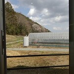 農家ふぇ - ブルーベリーのハウス