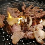 Miyazakijidori Yakitori Shimayoshi - 