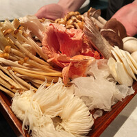 CINA New Modern Chinese - 