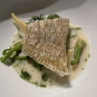 レフェルヴェソンス - 