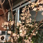 文化商店 - 店内に活けられた桜。