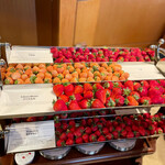 ロビー・ラウンジ - 