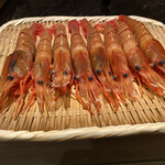 島津 - ボタンエビに睨まれて