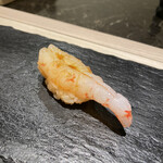 島津 - ボタンエビ