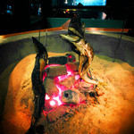 居酒屋　矢三朗 - カウンターから見える炉端焼きは最高☆