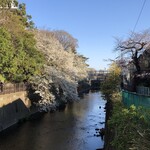 おにぎり屋 青竹 - 仙川沿いの桜