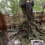 あらや滔々庵 - 