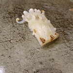 ガンツウ - 剣先イカ