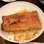 Ginza Kandagawa - 鰻小丼