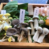 シャングリラズシークレット 銀座店 - 
