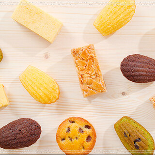 スカイバー カプリコン_1