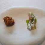 pesceco - 波紋のように