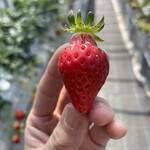 姫路ハートフル観光農園 - 